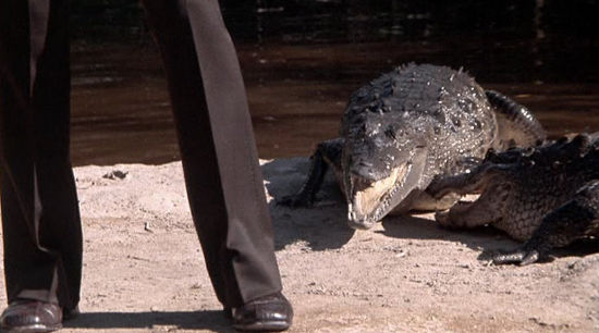 James Bond with a Crocodile