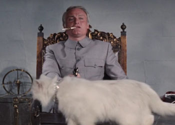 Blofeld and cat